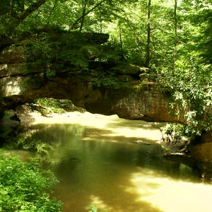 Rock Bridge, Clifty Wilderness Area, Kentucky