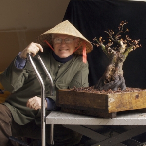 Hey! (Japanese Maple, Now In the Elandan Gardens Collection.)