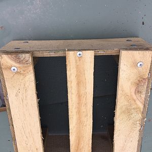 Box base with insect mesh