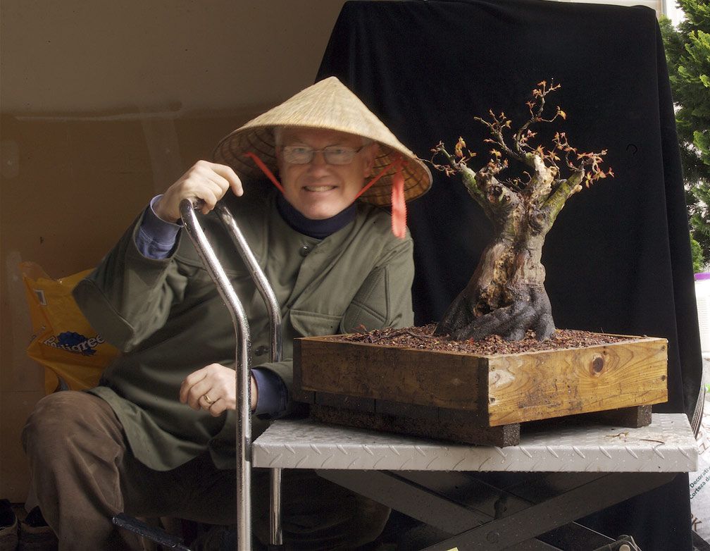 Hey! (Japanese Maple, Now In the Elandan Gardens Collection.)