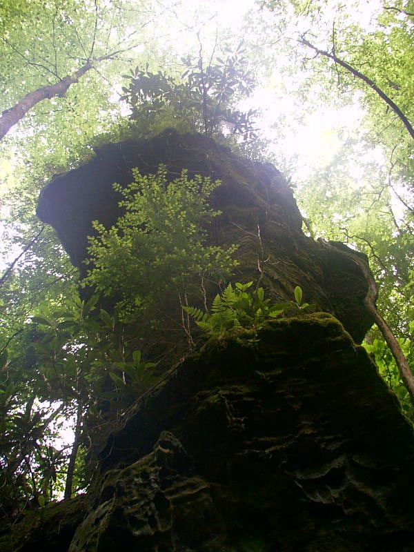 Natural rock planting