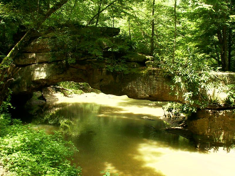 Rock Bridge, Clifty Wilderness Area, Kentucky